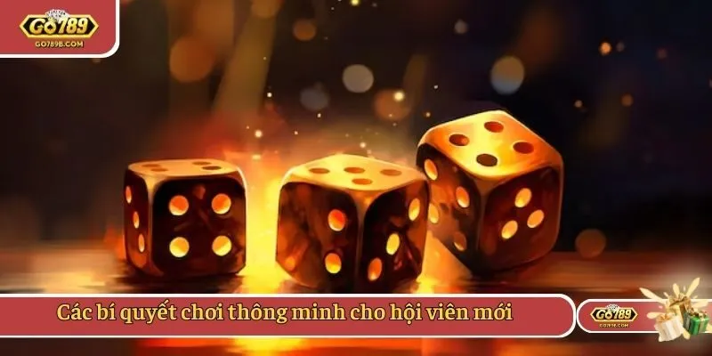 Các bí quyết chơi thông minh cho hội viên mới
