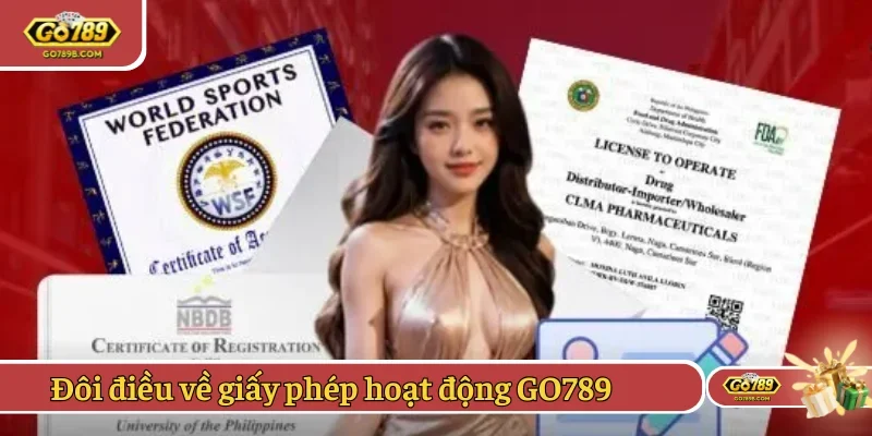 Vài điều về giấy phép hoạt động GO789