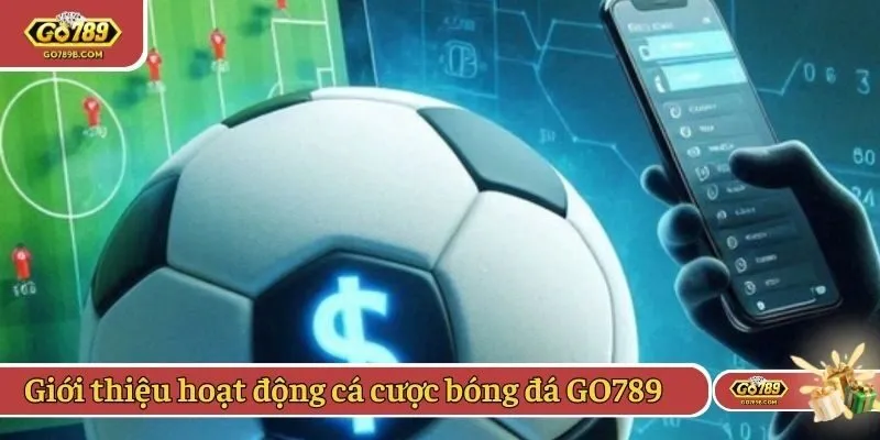 Giới thiệu hoạt động cá cược bóng đá GO789
